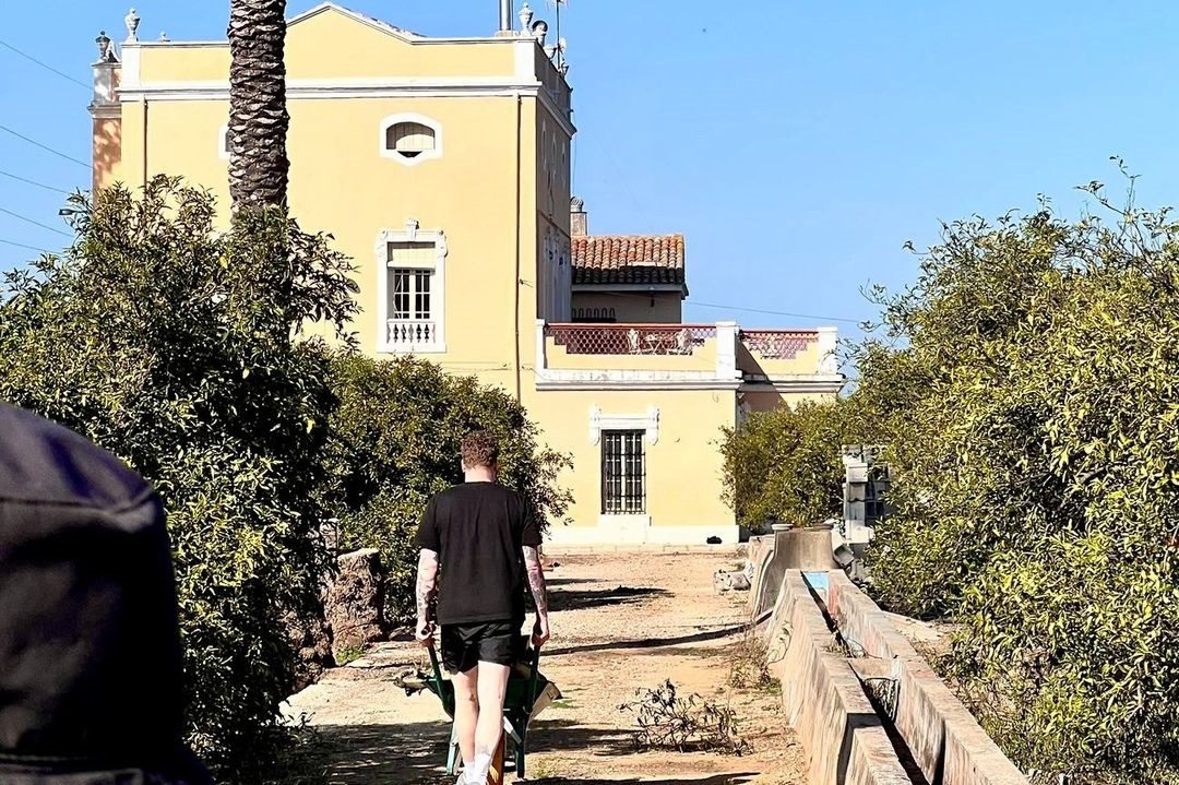 Path through the grove towards the yellow farmhouse